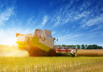  Combine working in field.