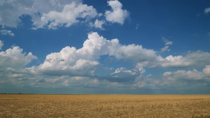Cumulus Clouds Build In Tornado Alley - Powered by Adobe