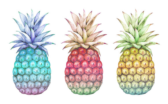 watercolor drawings abstract multicolored pineapple blue, pink, yellow on a white background