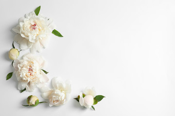 Naklejka na ściany i meble Beautiful blooming peony flowers on white background, top view
