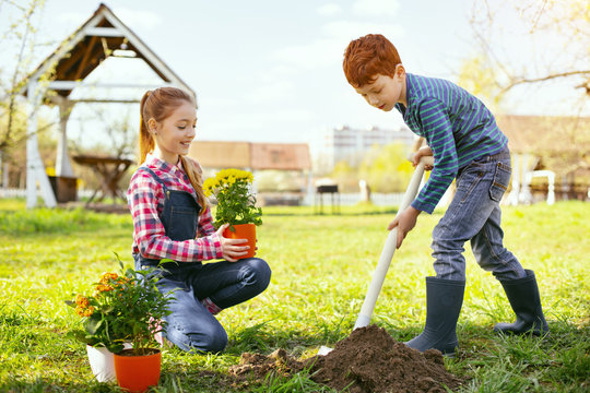 Flower Planting. Nice Strong Boy Holding A Spade While Planting Flowers Together With His Sister
