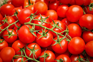 Many fresh ripe tomatoes as background