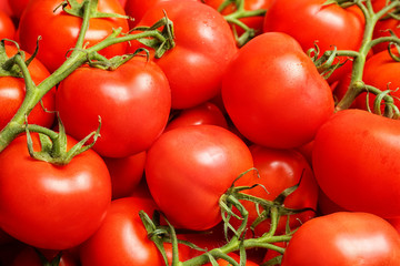 Many fresh ripe tomatoes as background, closeup