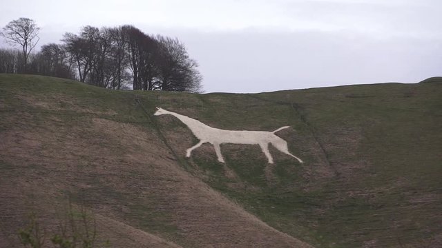 Wiltshire Horse in the Landscape