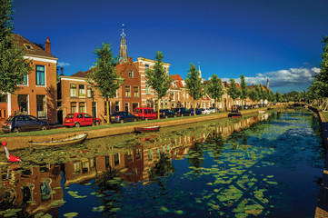 Obraz premium Tree-lined canal with aquatic plants and brick houses at the bank on sunset in Weesp. Quiet and pleasant village full of canals and green near Amsterdam. Northern Netherlands. Retouched photo.