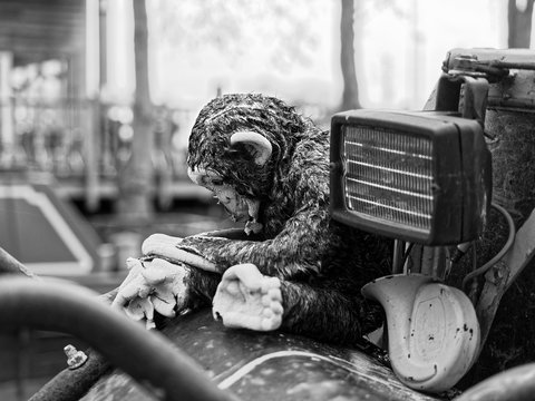 Downbeat monkey