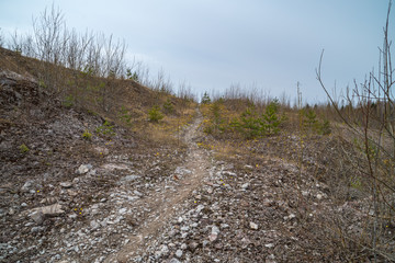 trail through the scree