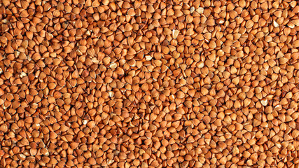 Detail photo of buckwheat (Fagopyrum esculentum) grain seeds heap, shot from above.
