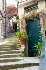Fototapeta na wymiar Picturesque staircase ascending into a alley.