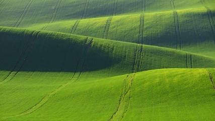 Beautiful green meadows, fields and hills. Moravian Tuscany – beautiful spring landscape in south Moravia near Kyjov town. Czech Republic - Europe. 