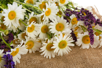 bouquet of field herbs, chamomile on a bag