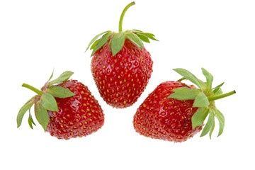 strawberry on white background