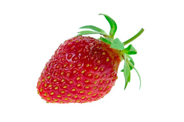 strawberry on white background