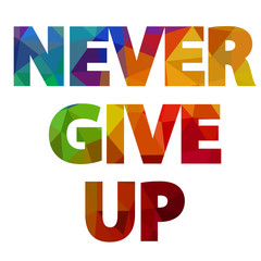 inspirational quote never give up