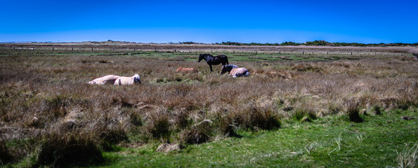 Töwerland - Maimomente