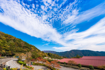 View of the mountain landscape in Hakone, Japan. Copy space for text.