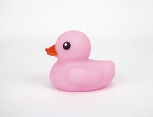 A pink rubber duck on an isolated white background with room for text and more