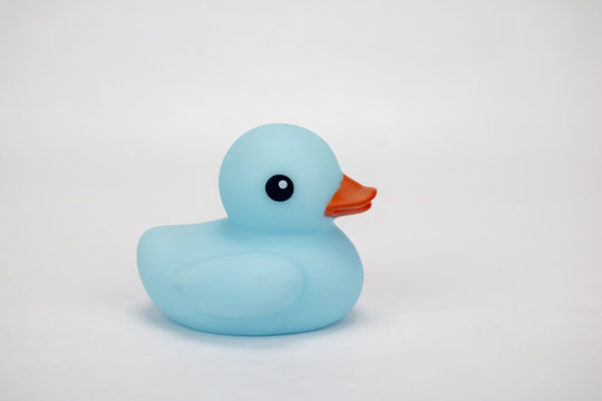 A blue rubber duck on an isolated white background 