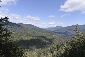 Fototapeta na wymiar Oregon nature