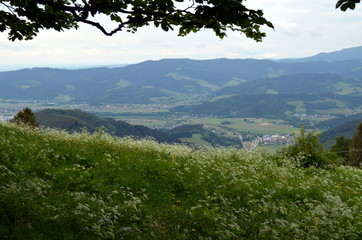 Fototapeta na wymiar Schwarzwaldlandschaft im Frühling