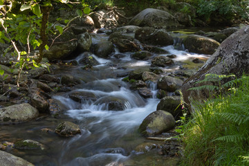 Cascade of water, river stream, part of forest waterfall, slow motion