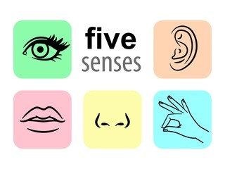 Senses icons. Five human illustrative senses vector illustration, taste and smell or nose sights