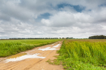 Campos de Castilla