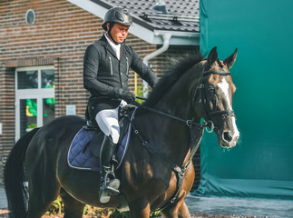 Showjumping competition, bay horse and rider in black uniform going performing jump. Equestrian...