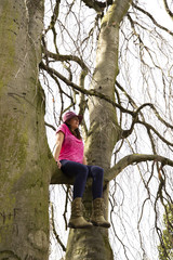 Hanging in the tree