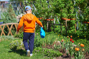 Caucasian boy watering flowers with water can at a household plot. Back view. © Artem