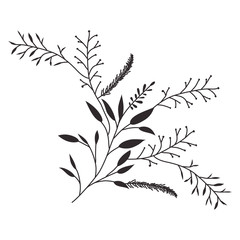 branch with leafs decorative icon vector illustration design