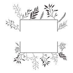 flower and leafs decorative square frame vector illustration design