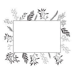 flower and leafs decorative square frame vector illustration design