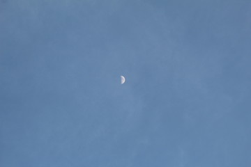 First Quarter Moon