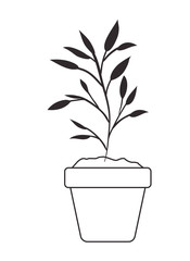 leafs plant in pot decorative icon vector illustration design