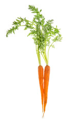 Carrots green leaves isolated white background