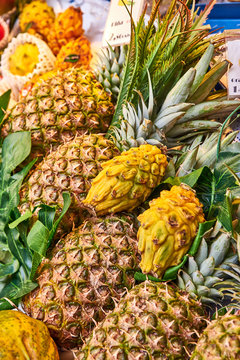 Biriba Images – Browse 96 Stock Photos, Vectors, and Video | Adobe Stock