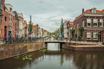 Tree-lined long canal with small bridge, brick houses on its bank and cloudy day at Gouda. Very popular day trip destination, is famous for its tasty Gouda cheese. Southern Netherlands.