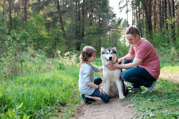 Naklejka na ściany i meble father and son with their dog malamute on a walk in the forest