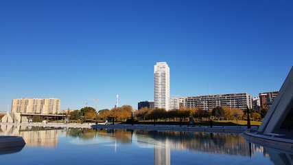 Trees in the park with skyscraper and blue sky