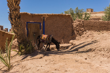 Typical moroccan mud house and donkey close to desert
