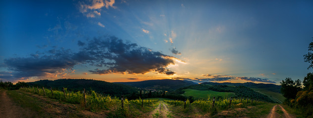 vineyard sunset panorama