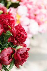 Lovely flowers in glass vase. Beautiful bouquet of red peonies . Floral composition, scene, daylight. Wallpaper