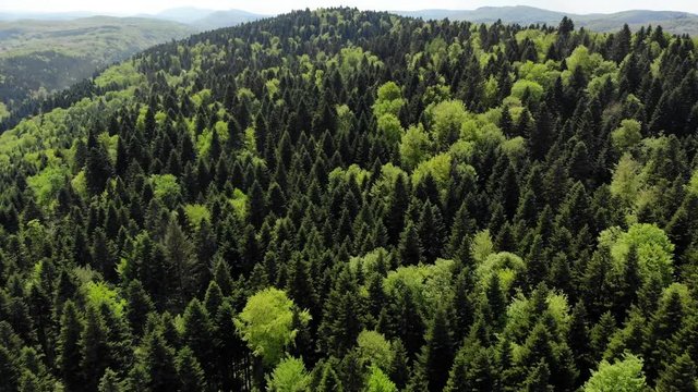 vol au dessus des for&ecirc;ts du Jura, avec diff&eacute;rentes nuances de verts 