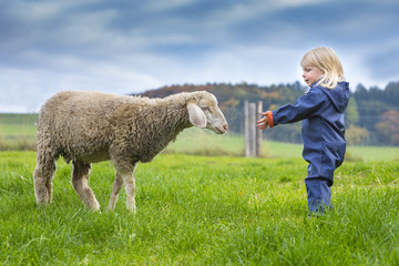 Deutschland, Bayern, Allgäu, Mindelheim, kleines Mädchen auf der Weide mit Schaf