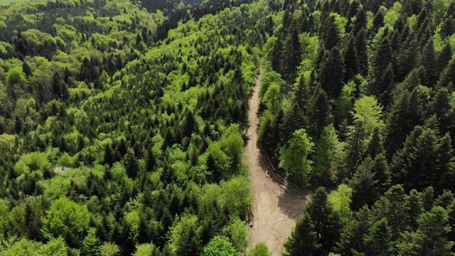 vol au dessus d'un chemin au milieu de la for&ecirc;t