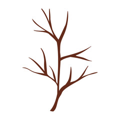 autumn tree branche wooden vector illustration design