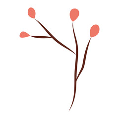 branch with seeds natural icon vector illustration design