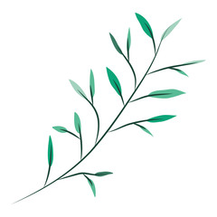 branch with leafs decorative icon vector illustration design