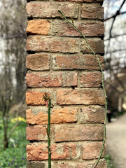 Red brick column near the park path
